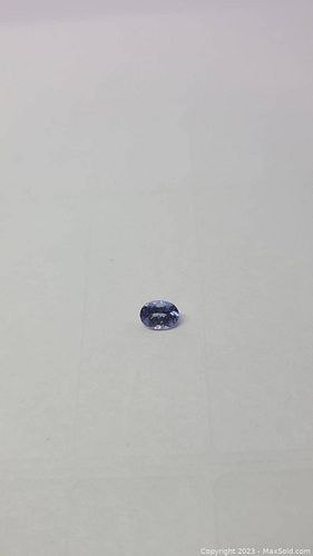 Lot #10 (1 of 18)