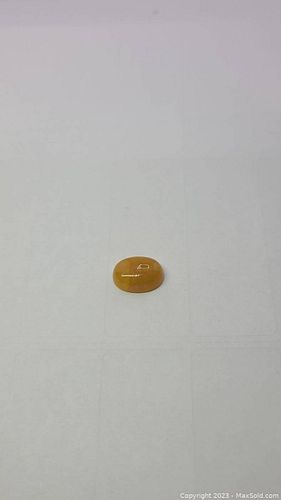 Lot #43 (1 of 7)