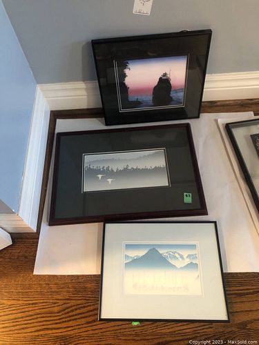 Lot #135 (1 of 14)