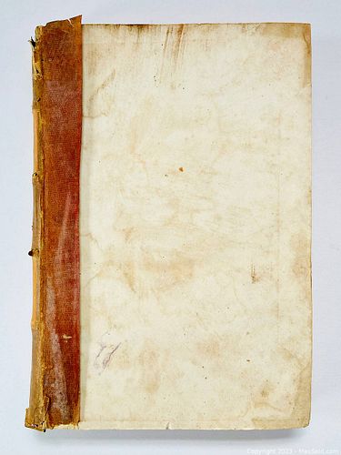 Lot #894 (1 of 16)