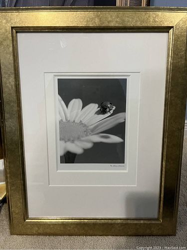 Lot #71 (1 of 6)