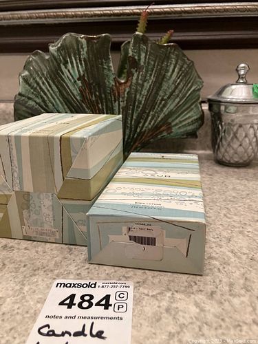 Lot #484 (1 of 10)