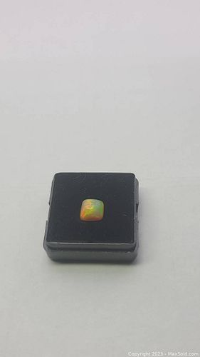 Lot #9 (1 of 20)