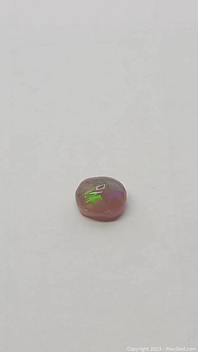 Lot #14 (1 of 13)