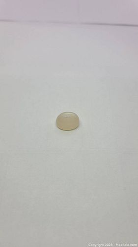 Lot #28 (1 of 13)