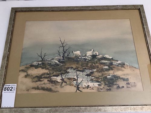 Lot #802 (1 of 3)
