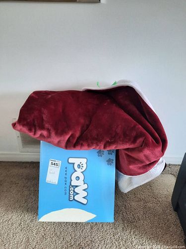 Lot #545 (1 of 10)