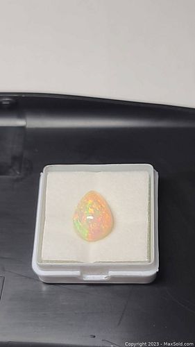 Lot #16 (1 of 11)