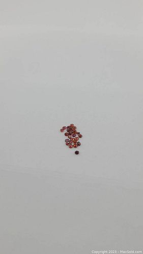 Lot #46 (1 of 14)