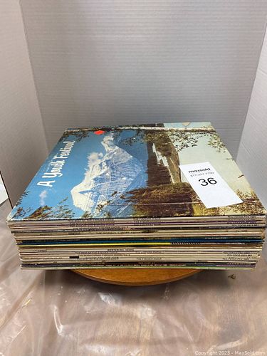 Lot #36 (1 of 2)