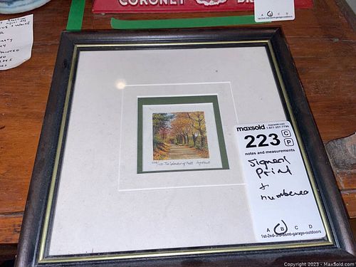 Lot #223 (1 of 11)