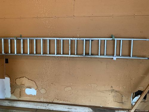 Lot #187 (1 of 3)