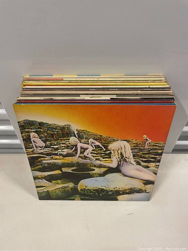 Lot #51 (1 of 13)