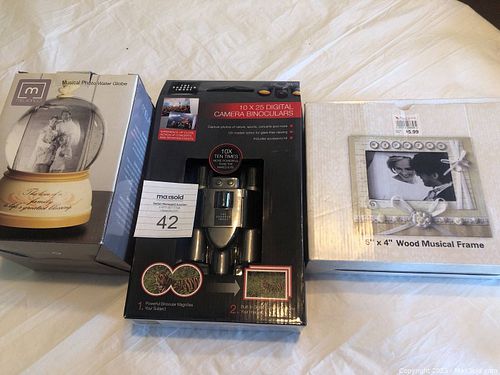 Lot #42 (1 of 10)
