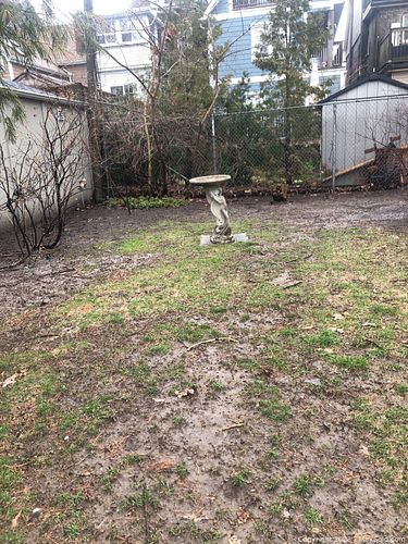 Lot #282 (1 of 3)