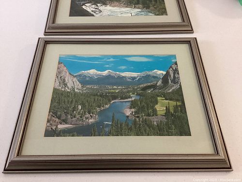Lot #15 (1 of 3)