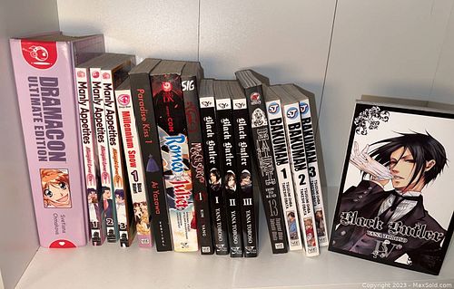 Lot #234 (1 of 10)