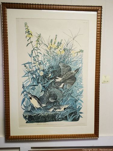 Lot #4 (1 of 13)