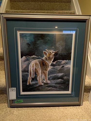 Lot #797 (1 of 7)