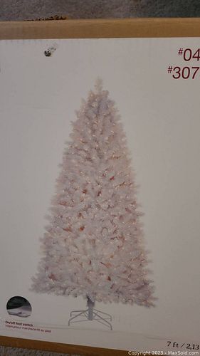 Lot #225 (1 of 5)