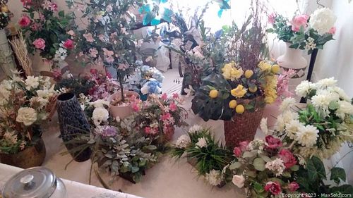 Lot #260 (1 of 13)