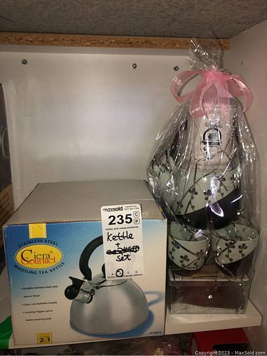 Lot #235 (1 of 10)