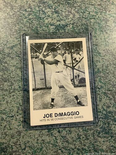 Lot #13 (1 of 2)