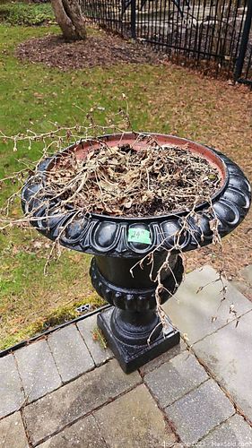 Lot #60 (1 of 6)