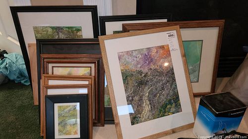 Lot #486 (1 of 17)