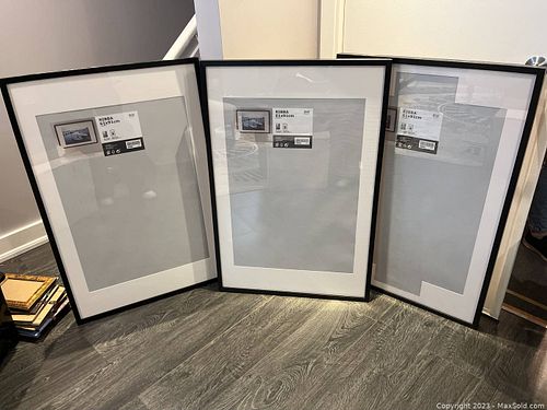 Lot #443 (1 of 6)