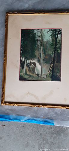 Lot #49 (1 of 2)