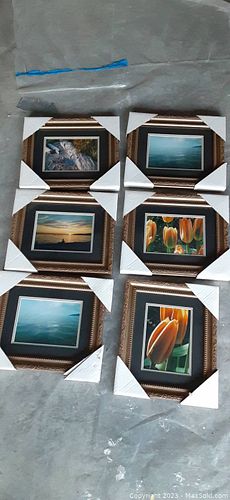 Lot #50 (1 of 4)