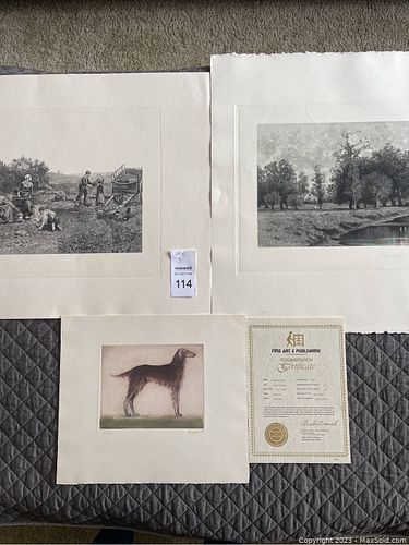Lot #114 (1 of 15)