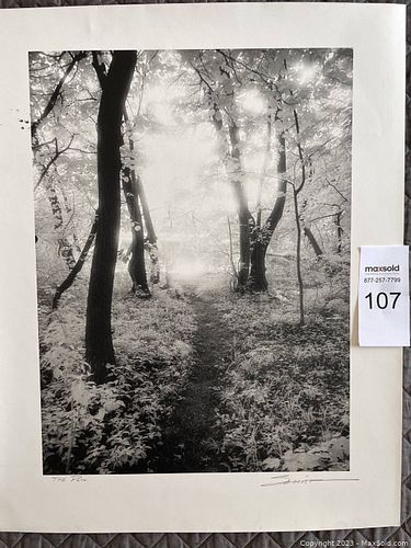 Lot #107 (1 of 7)