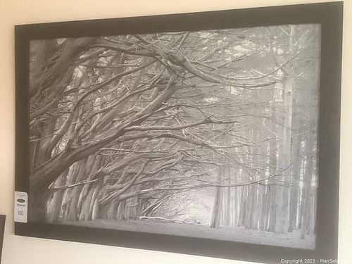 Lot #80 (1 of 6)