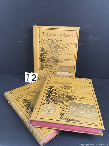 Lot #12 (1 of 3)