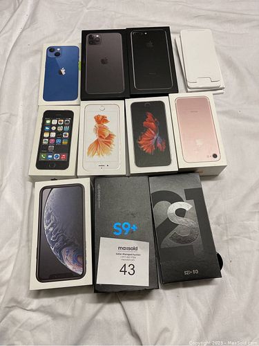 Lot #43 (1 of 2)