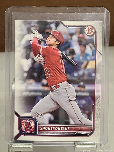 Lot #51 (1 of 2)