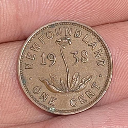 Lot #8 (1 of 2)