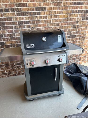 Lot #256 (1 of 10)
