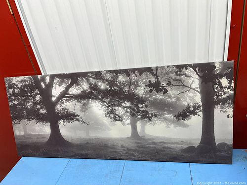 Lot #411 (1 of 4)