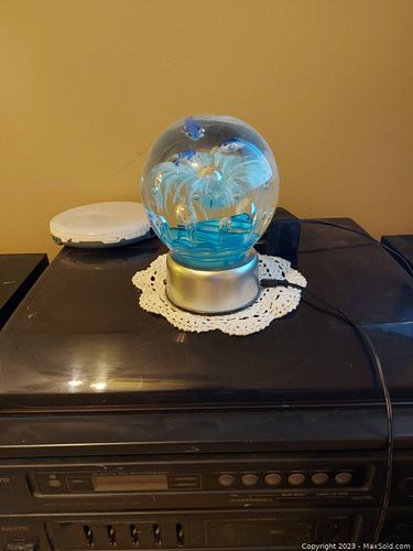 Lot #137 (1 of 1)