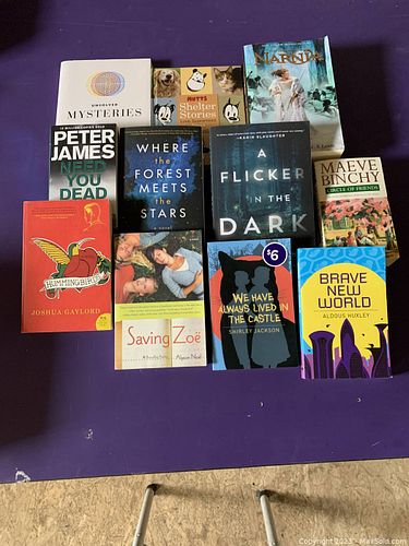 Lot #46 (1 of 6)