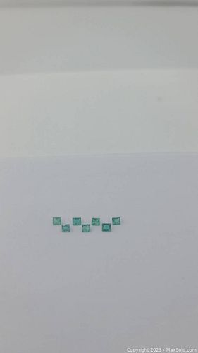 Lot #8 (1 of 12)