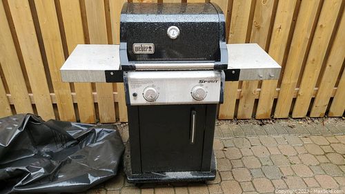 Lot #50 (1 of 8)