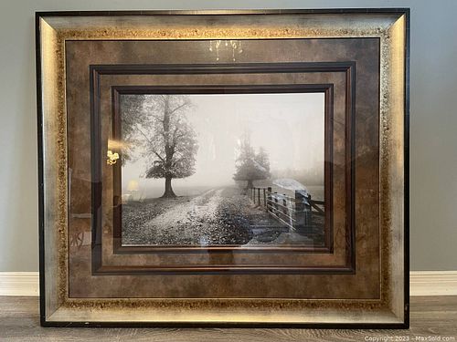 Lot #45 (1 of 1)