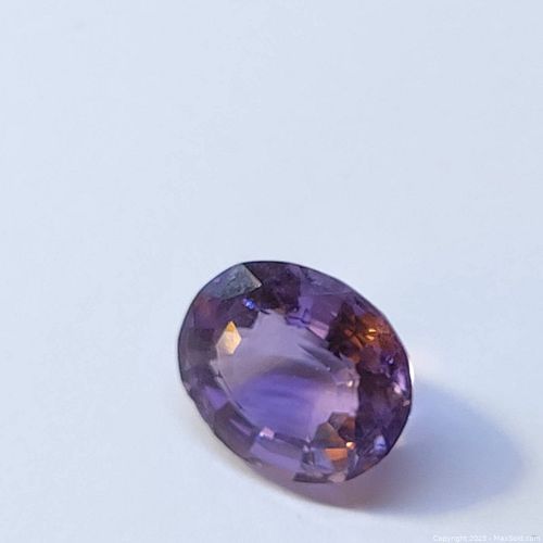 Lot #1631 (1 of 2)