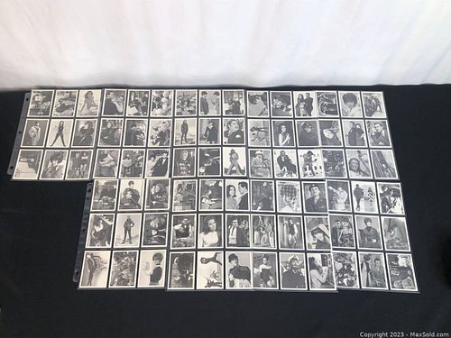 Lot #81 (1 of 12)
