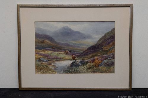Lot #657 (1 of 3)