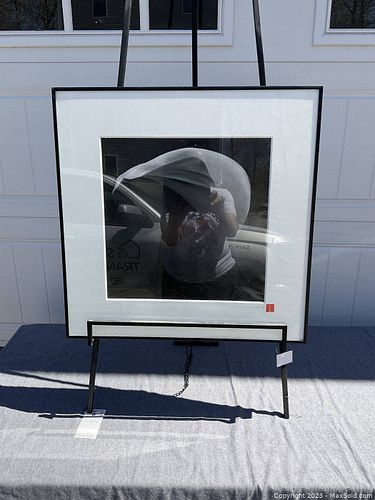 Lot #8 (1 of 3)